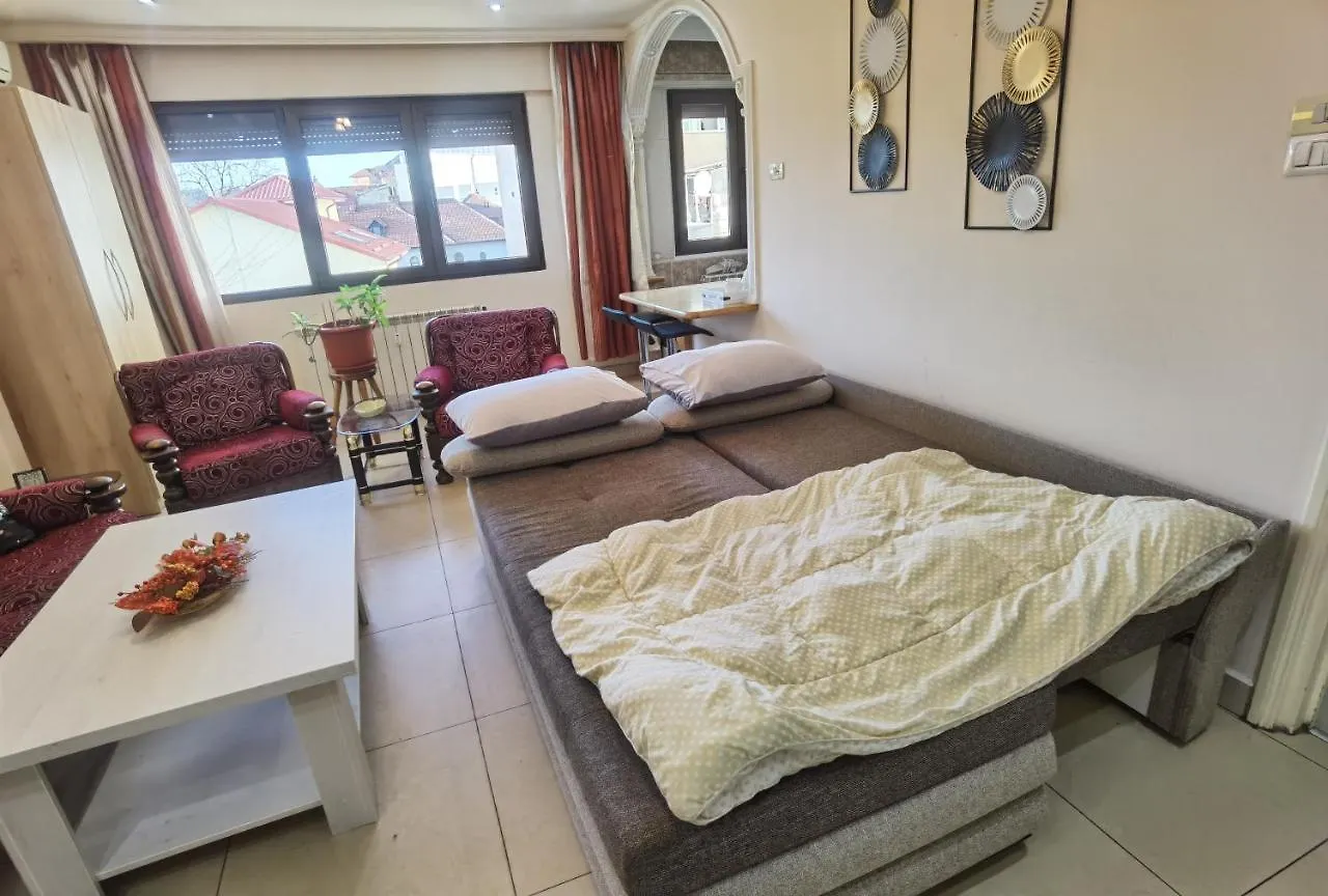 Dorobanti Bucharest Apartment 0*,