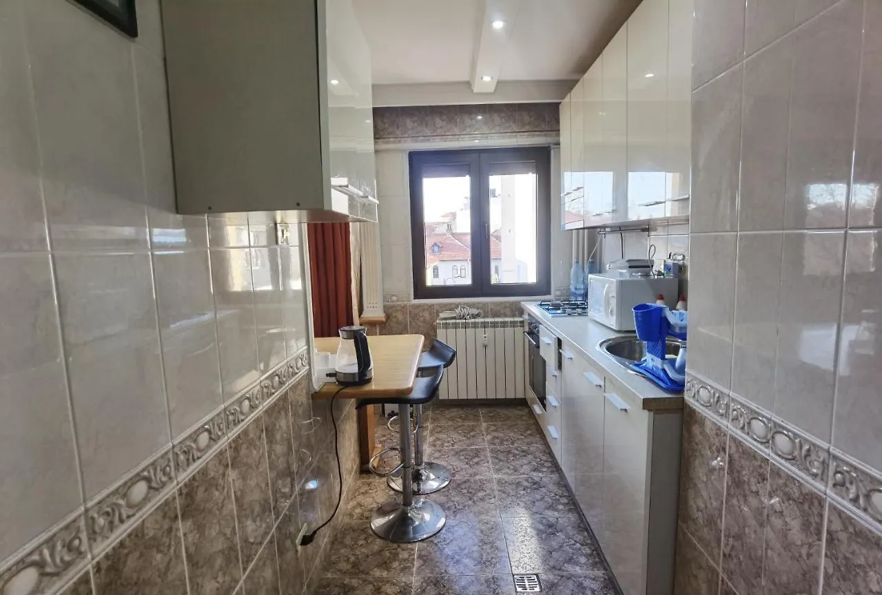 Apartmán Dorobanti Bukurešť